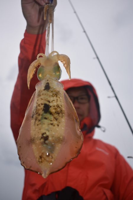 Fisherman Dreams DI 釣果