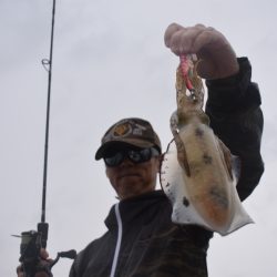 Fisherman Dreams DI 釣果