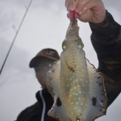 Fisherman Dreams DI 釣果