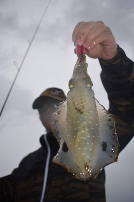 Fisherman Dreams DI 釣果