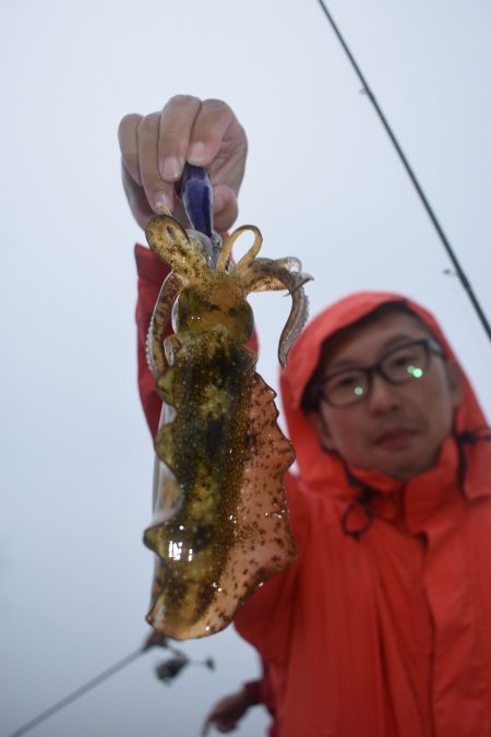 Fisherman Dreams DI 釣果