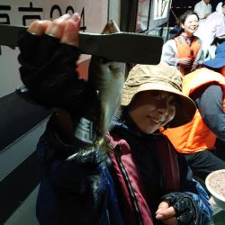 深川　吉野屋 釣果