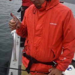 Fisherman Dreams DI 釣果