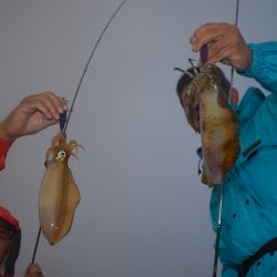 Fisherman Dreams DI 釣果