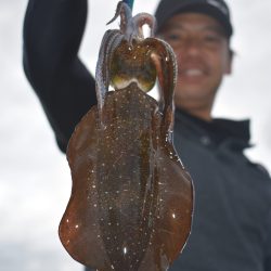 Fisherman Dreams DI 釣果