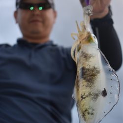 Fisherman Dreams DI 釣果