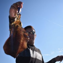 Fisherman Dreams DI 釣果