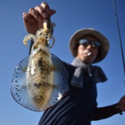 Fisherman Dreams DI 釣果