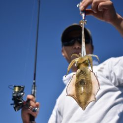 Fisherman Dreams DI 釣果