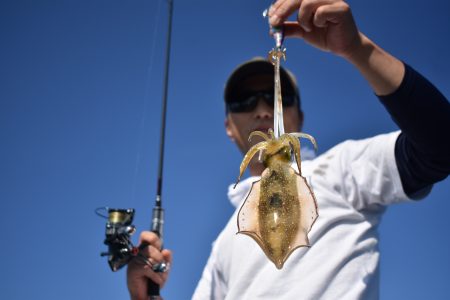 Fisherman Dreams DI 釣果