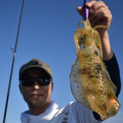 Fisherman Dreams DI 釣果