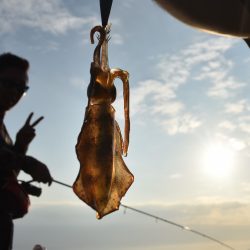 Fisherman Dreams DI 釣果