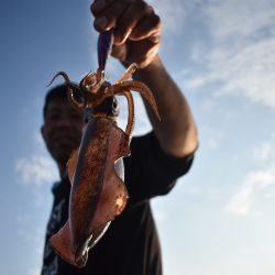 Fisherman Dreams DI 釣果