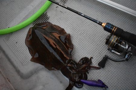 Fisherman Dreams DI 釣果