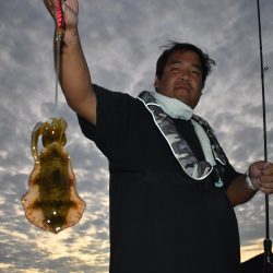 Fisherman Dreams DI 釣果