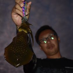 Fisherman Dreams DI 釣果