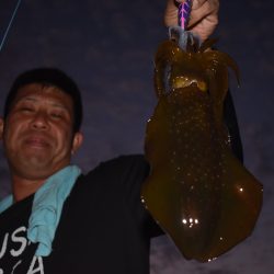 Fisherman Dreams DI 釣果