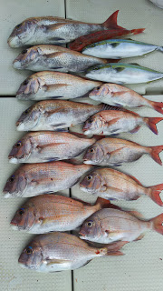 釣り舟　海竜 釣果