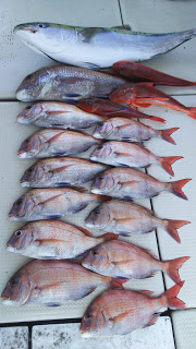 釣り舟　海竜 釣果