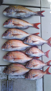 釣り舟　海竜 釣果