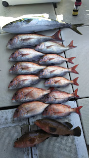 釣り舟　海竜 釣果