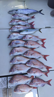 釣り舟　海竜 釣果