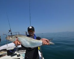 アジアマリンサービス 釣果