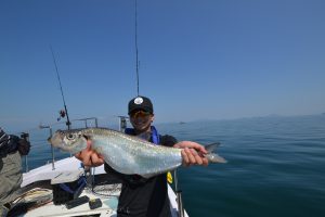 アジアマリンサービス 釣果