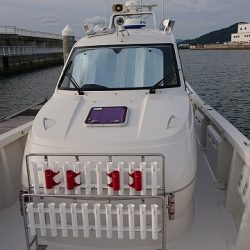 フィッシングボートACE(エース) 釣果