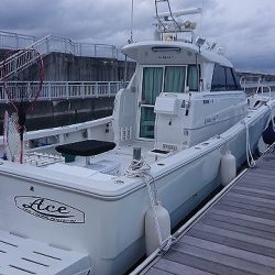 フィッシングボートACE（エース） 釣果