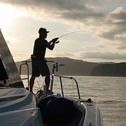 フィッシングボートACE(エース) 釣果