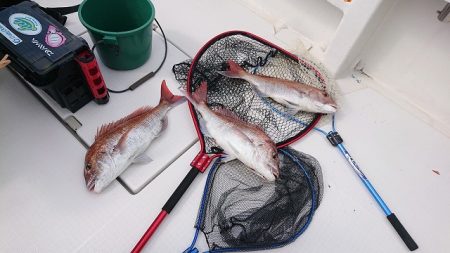 フィッシングボートACE(エース) 釣果