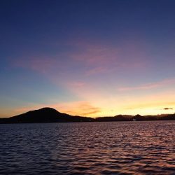 フィッシングボートACE（エース） 釣果