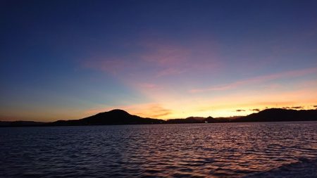 フィッシングボートACE（エース） 釣果