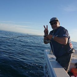 フィッシングボートACE（エース） 釣果