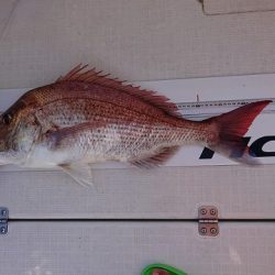 フィッシングボートACE（エース） 釣果