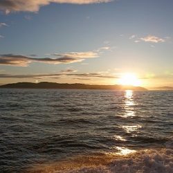 フィッシングボートACE(エース) 釣果