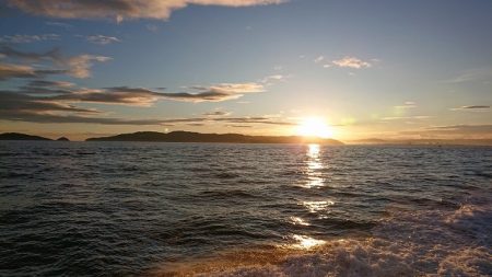 フィッシングボートACE(エース) 釣果