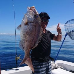 フィッシングボートACE(エース) 釣果