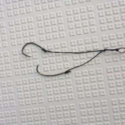 フィッシングボートACE(エース) 釣果