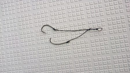 フィッシングボートACE(エース) 釣果