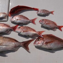 フィッシングボートACE（エース） 釣果