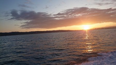 フィッシングボートACE(エース) 釣果