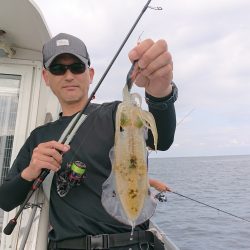 まるいち丸 ZERO-1 釣果