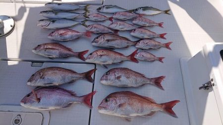 フィッシングボートACE（エース） 釣果