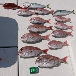 フィッシングボートACE(エース) 釣果