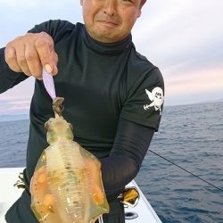 フィッシングボートACE(エース) 釣果