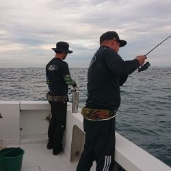 フィッシングボートACE(エース) 釣果