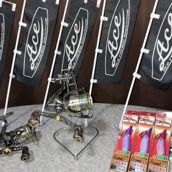 フィッシングボートACE(エース) 釣果