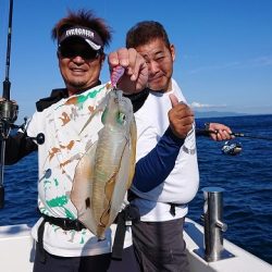 フィッシングボートACE(エース) 釣果